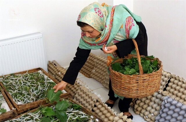 مشاغل خانگی