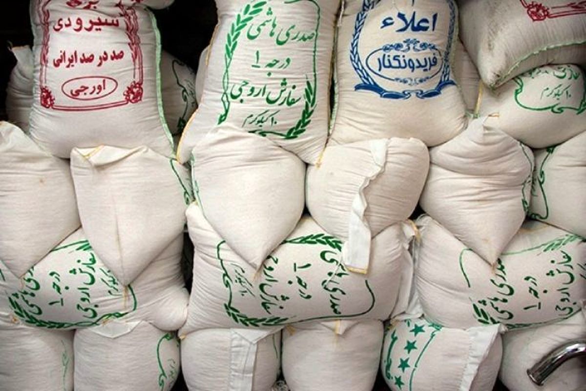 تولید برنج