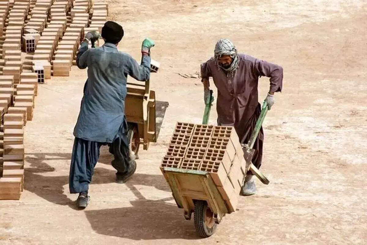 اتباع افغان