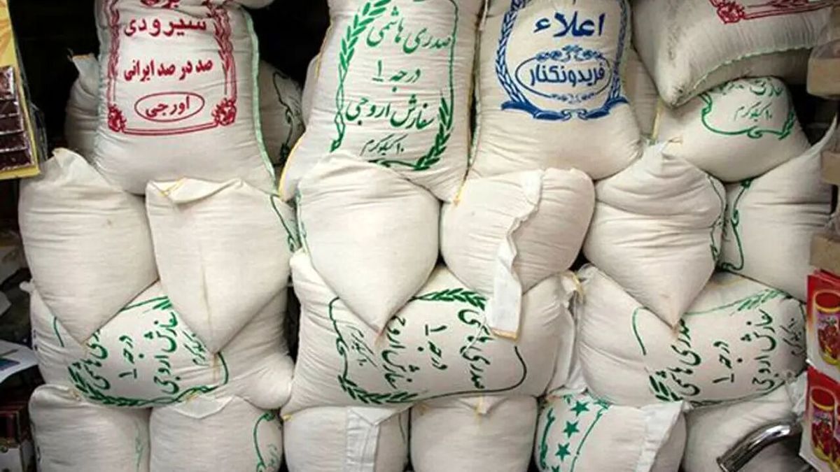قیمت برنج ایرانی از مرز ۳۰۰ هزار تومان عبور کرد