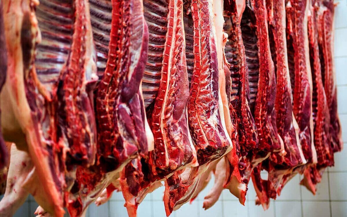کاهش نرخ دام زنده، بی‌اثر بر قیمت گوشت