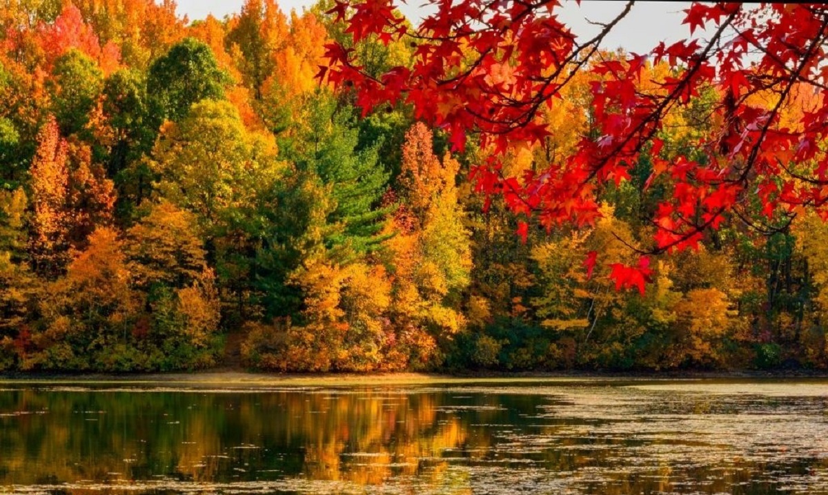 وضعیت هواشناسی امروز وضعیت هواشناسی امروز