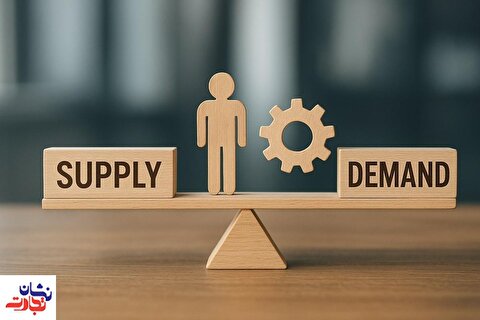 ایجاد تعادل میان عرضه و تقاضا و نیروی کار؛ راهبردی برای بهرهوری و توسعه پایدار