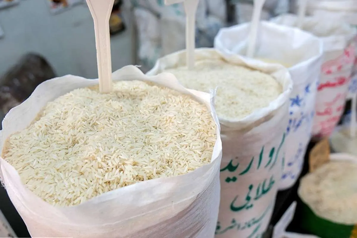 برنج ارزان از راه رسید برنج ارزان از راه رسید