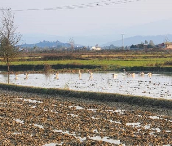 غروب زیبای پاییزی در بیجار روستای کَلفَت شهر فومن