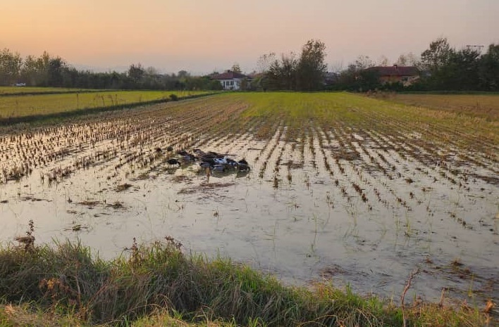 غروب زیبای پاییزی در بیجار روستای کَلفَت شهر فومن