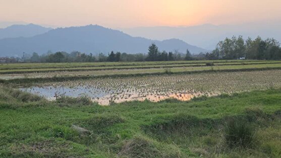 غروب زیبای پاییزی در بیجار روستای کَلفَت شهر فومن