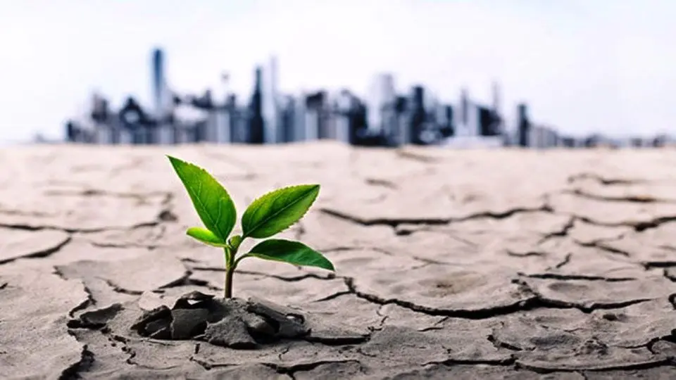 تهران در آستانه بحران بیآبی ؛ «پاییز خشک ۱۴۰۴» تهران در آستانه بحران بیآبی ؛ «پاییز خشک ۱۴۰۴»