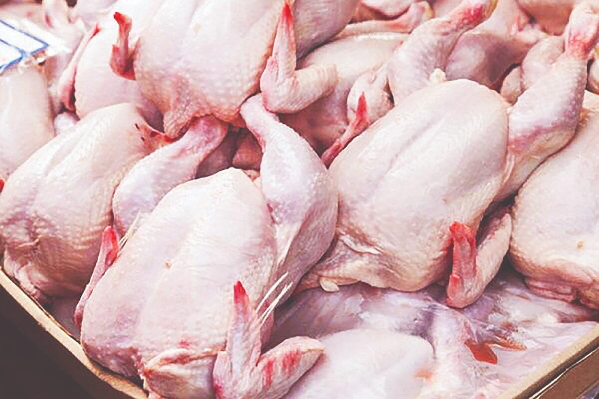راز نوسانات بازار مرغ و گوشت چیست؟ راز نوسانات بازار مرغ و گوشت چیست؟