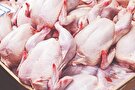 راز نوسانات بازار مرغ و گوشت چیست؟