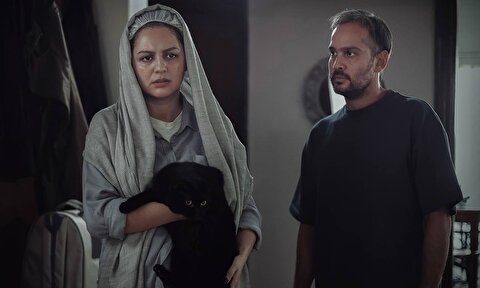 میدونی ما از کی انقدر بی رحم شدیم؟