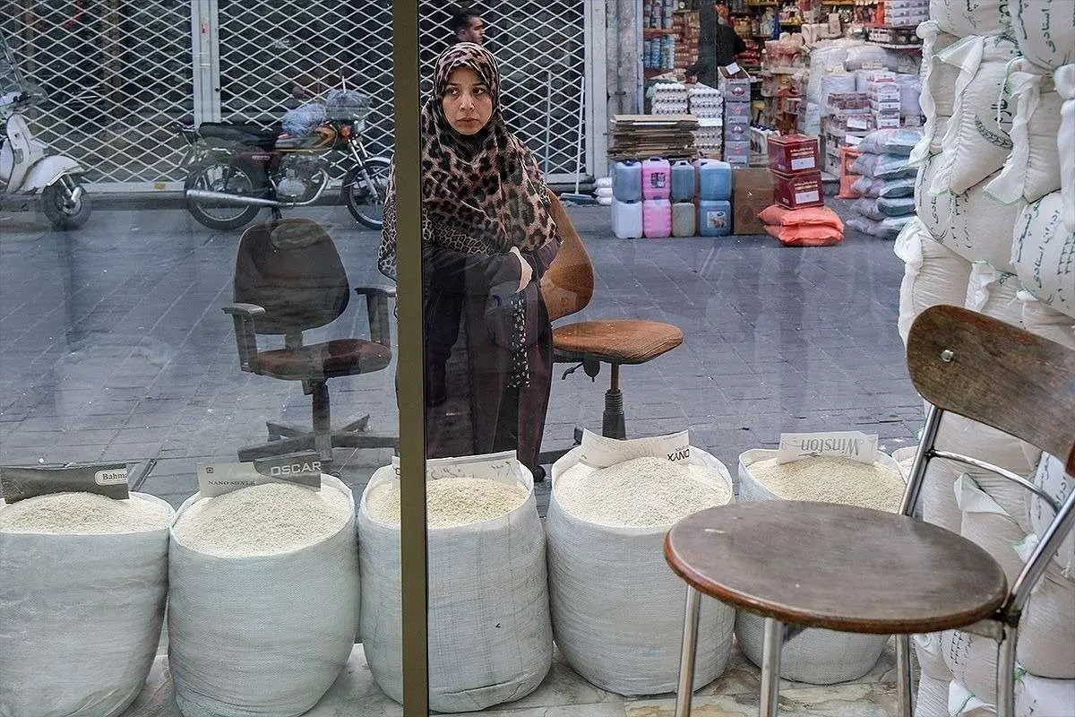 پشت پرده گرانی برنج پاکستانی چیست؟ پشت پرده گرانی برنج پاکستانی چیست؟