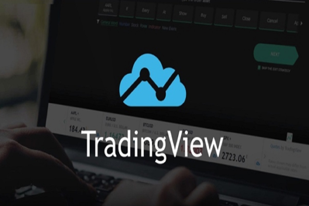 تریدینگ ویو چیست؟ تریدینگ ویو چیست؟