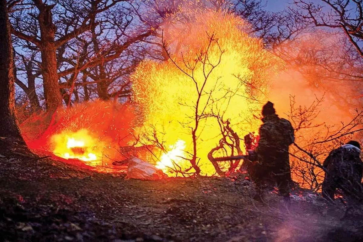 آتش سوزی در جنگلهای ایران